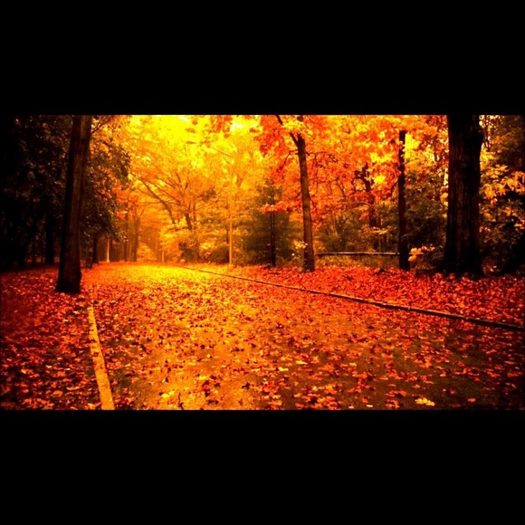 Meet your Posher, Leigh - Picture 1 of 1